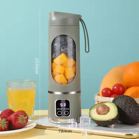 Portable USB Rechargeable Blender & Juicer HHC DS
