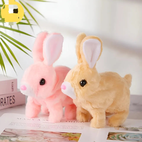 Walking Rabbit shahzad store