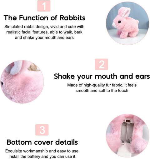 Walking Rabbit shahzad store