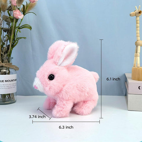Walking Rabbit shahzad store
