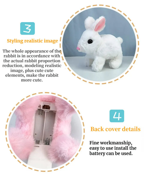 Walking Rabbit shahzad store