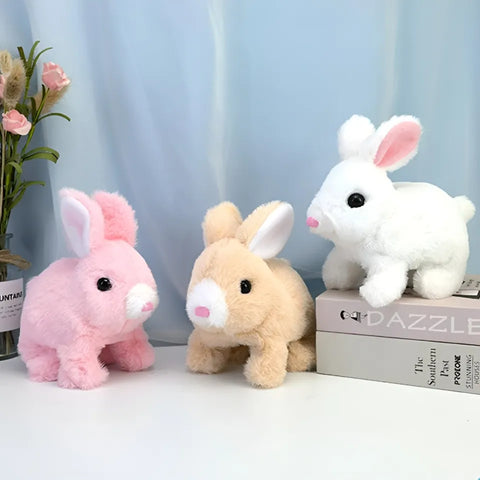 Walking Rabbit shahzad store